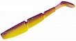 Complex Shad