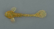 Силиконовая приманка Fanatik Goby 2, 50мм, #009, (9 шт)