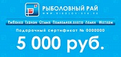 Подарочный сертификат на сумму 5000 рублей