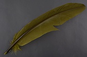 Перья парные маховые индюшиные VENIARD Turkey broad Wing Quill Dyed Olive VND  TBWQ-08