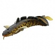 3D Burbot 