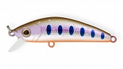 Воблер Strike Pro Mustang Minnow 60 плав.,5.8гр.(0.3-0.7м) кр.VMC  MG-002A#A142-264