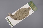 Петушиный скальп Whiting hebert/miner Cape Prograde Grizzly Variant