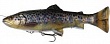 4D Pulse Tail Trout 20