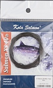 Подлесок Kola Salmon Polyleader Salmon Extra Strong 10'0 (3.0 m) 40lb Fast Sink LSB-PFS8-10XS