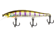 RV-Minnow