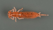 Силиконовая приманка Fanatik Larva 3, 75мм, #023 (6шт)