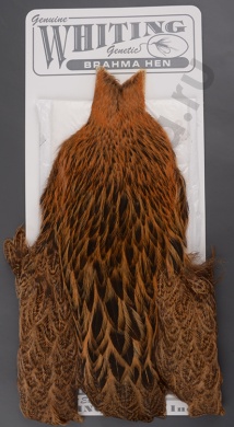 Куриный скальп Whiting Brahma Hen Cape Golden Brown