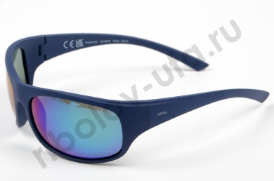 Очки Invu поляризационные A 2106P Flex в чехле 